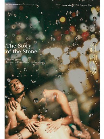 THE STORY OF THE STONE500 728